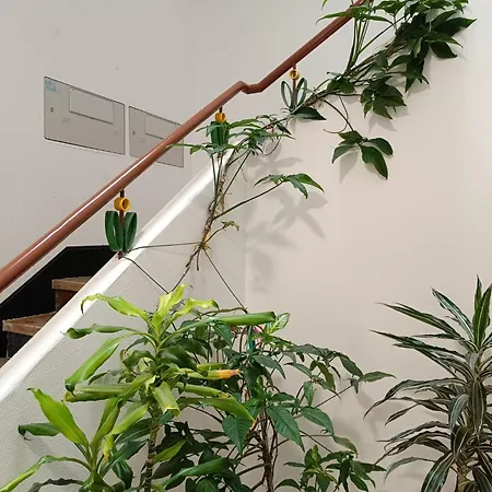 Casa Naus - Lisbon Riverside Almada