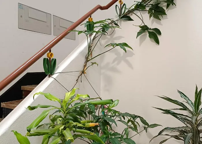 Casa Naus - Lisbon Riverside Almada